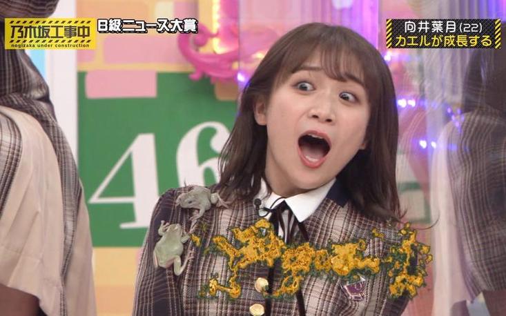MusicStation 日本音乐节目特辑：人气歌手阵容悉数登场