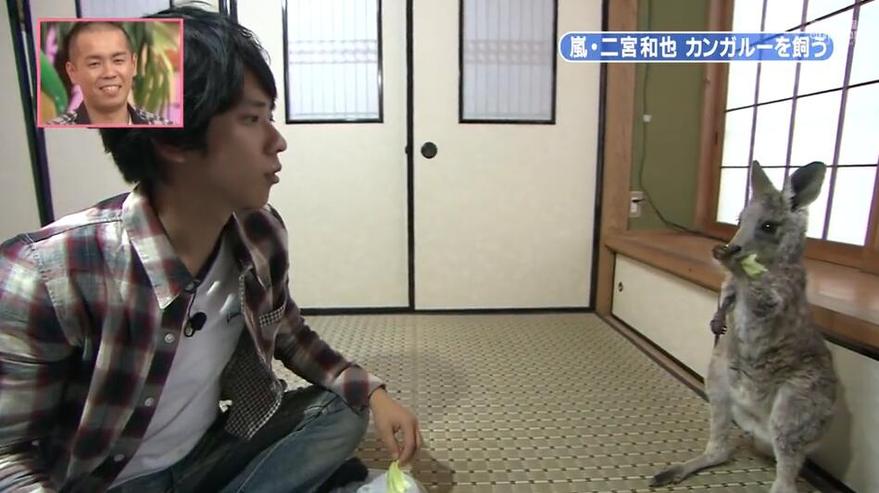 张根硕在日本综艺节目啊王子中的卡司格局一改往日，笑点频出惊喜不断