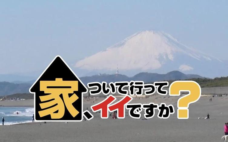 透视日本搞笑综艺测试策略，玩转这场独特的考试