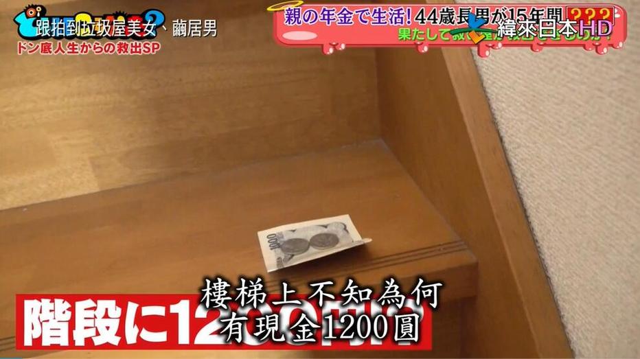 使用这些软件，尽情享受日本综艺的精彩吧