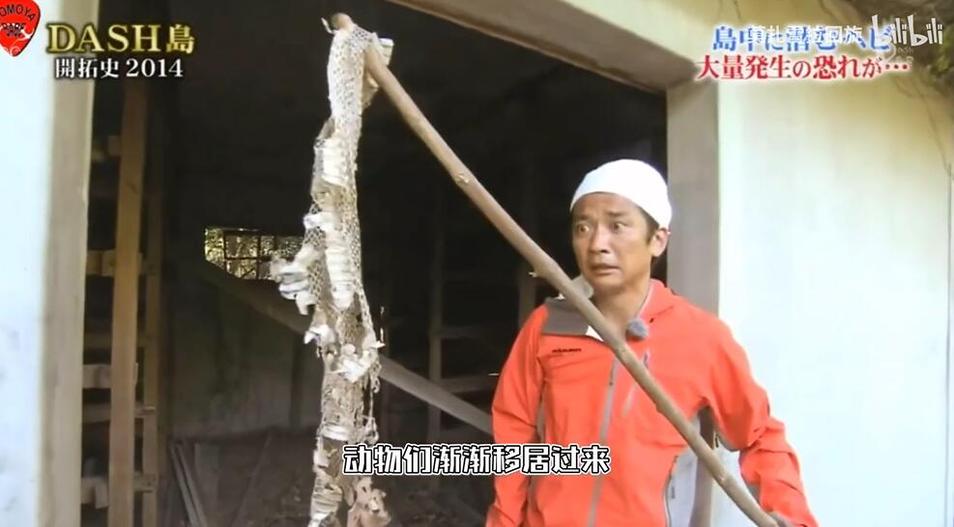 《铁腕dash巧克力》惊现新类型，一飞冲天的竞技赛